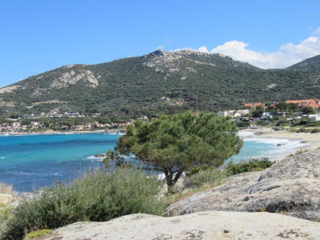 T2 Renove 100M Plage Avec Spa Privatif Entre Calvi Et Ile Rousse Lumio  Exteriör bild